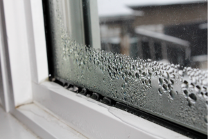 Condensation on windows during the winter in Countryside, Illinois